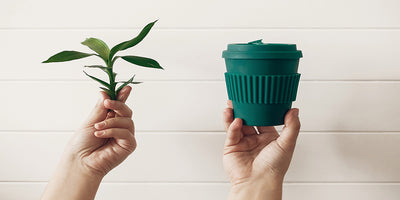 Bamboo Cups